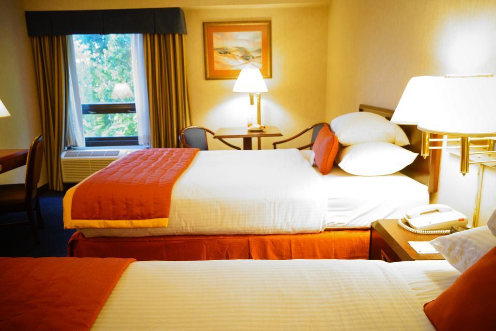 Wyndham Garden Monterrey Norte San Nicolás de los Garzas Eksteriør bilde